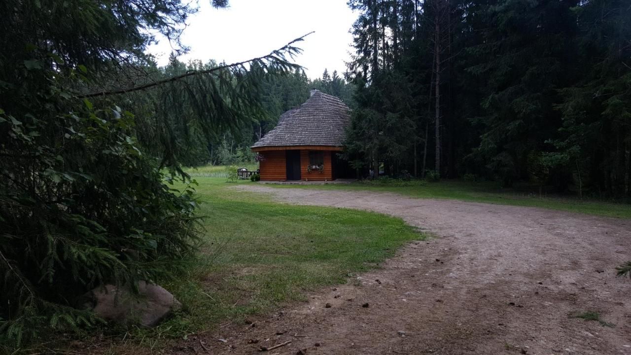 Дома для отпуска Murmuļmuiža Zāģeri-4