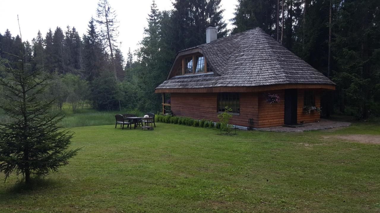 Дома для отпуска Murmuļmuiža Zāģeri-18