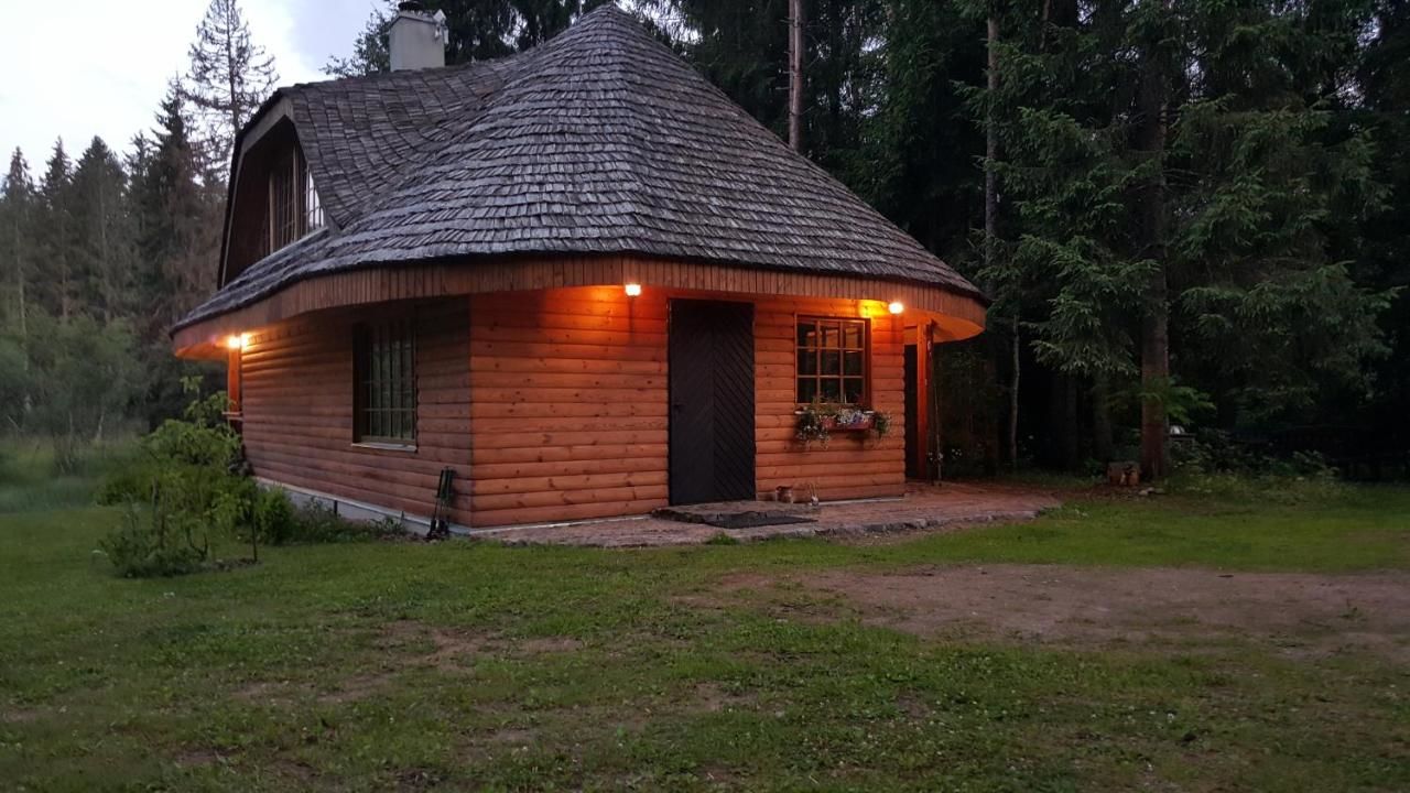 Дома для отпуска Murmuļmuiža Zāģeri-19
